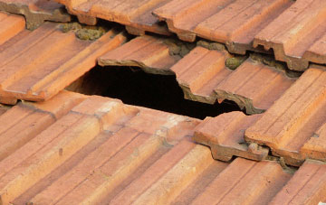 roof repair Holmer, Herefordshire