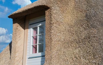 Holmer thatch roof disadvantages